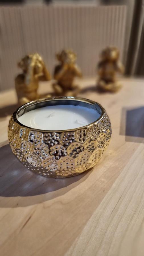Studio Avec Beaucoup De Charme Intra Muros 亞維農 外观 照片